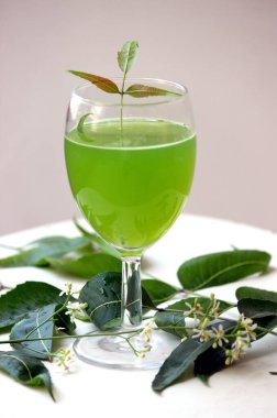 Taze neem suyu bardakta servis edilir, doğal neem yapraklarıyla süslenir, sağlık, detoks ve ayurvedik sağlığı sembolize eder. Baharda Hindistan acı suyu 
