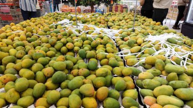 Taze olgun alphonso mangoları mango sezonunda bir süpermarkette toplu olarak sergileniyor, canlı renkler ve tropikal meyve bolluğu sergiliyor. 12 Nisan 2024, Pune, Hindistan 