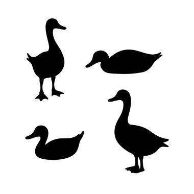 vektör, izole, siluet, kaz, ördek