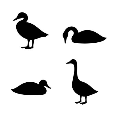 vektör, izole, siluet, kaz, ördek