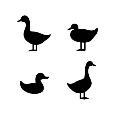 vektör, izole, siluet, kaz, ördek