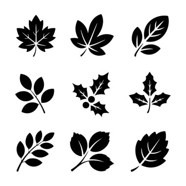 Çeşitli yaprak siluet vektörleri kümesi