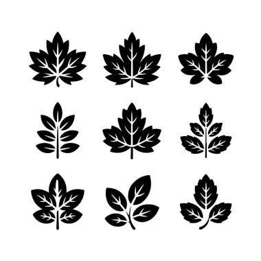 Çeşitli yaprak siluet vektörleri kümesi