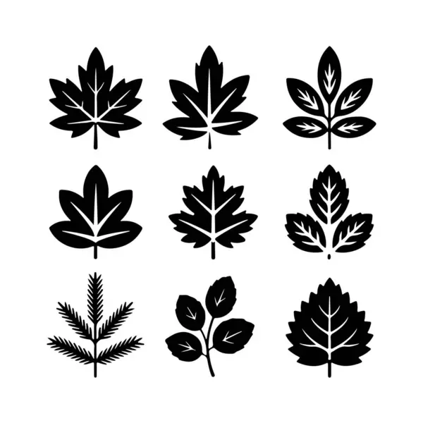 Çeşitli yaprak siluet vektörleri kümesi
