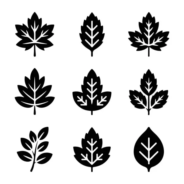 Çeşitli yaprak siluet vektörleri kümesi