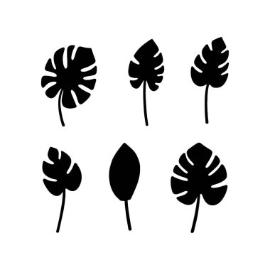 Tropikal Canavar Yaprak Siluetleri Egzotik Yaprak Simgelerinin Vektör Koleksiyonu