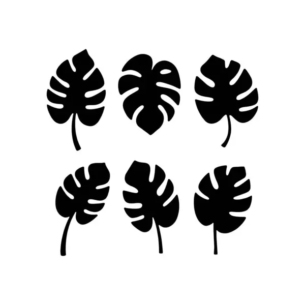 Tropikal Canavar Yaprak Siluetleri Egzotik Yaprak Simgelerinin Vektör Koleksiyonu