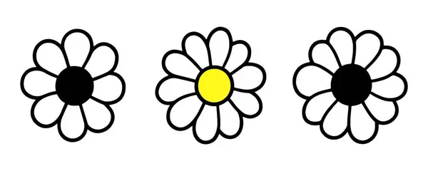 Beyaz Arkaplanda Çizgili Papatyalar