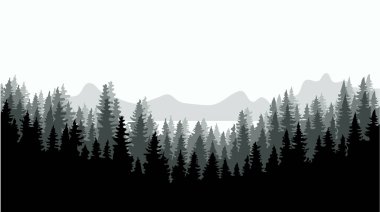 Orman arka planı, doğa, manzara. Evergreen kozalaklı ağaçlar. Çam, çam, noel ağacı. Siluet vektörü