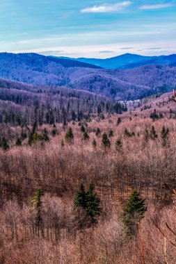Sırt sırtındaki tepe, shenandoah Ulusal Parkı, Virginia, ABD.