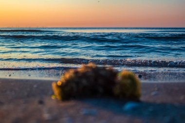 Sahilde güzel bir gün batımı