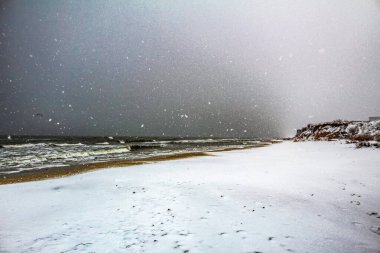 Kar ve ağaçlarla kaplı kış manzarası