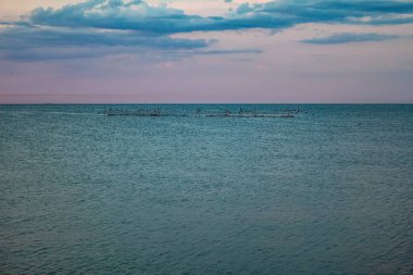 Sahilde gün batımı