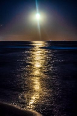 Gece deniz manzarası ay ışığı, yıldızlar ve ay ışığı. doğal arkaplan