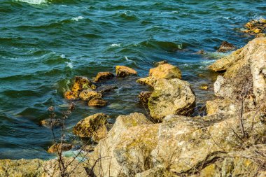 Baltık Denizi kıyısında dalgaları