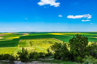 aerial view of agricultural field and agricultural fields.