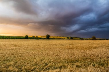 storm clouds at the sunset