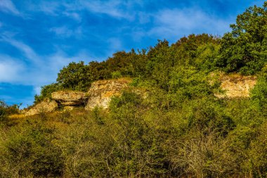 autumn landscape in the carpathian forest