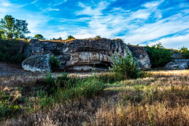 a vertical view of a stone with green trees in a rock