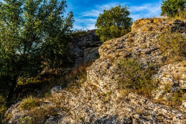 Doğanın güzel manzarası