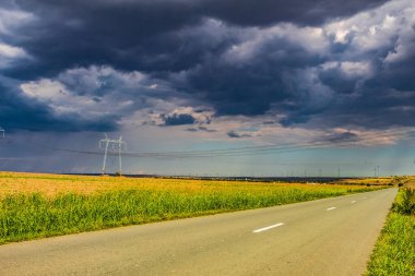 storm in the field with the wind