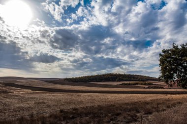 Kırsalda sonbahar manzarası