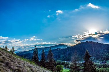 carpathian mountains in the morning. summer landscape.