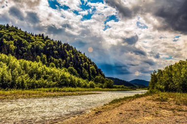 Ormandaki nehrin güzel manzarası