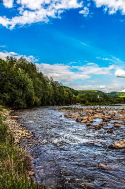 a vertical shot of the river surrounded by greenery and trees