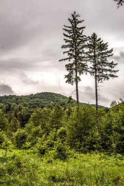 Dağların güzel manzarası