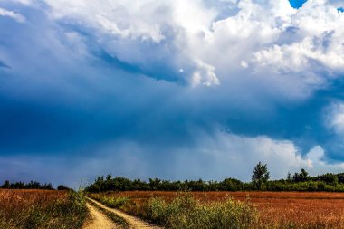 a beautiful scenery of a field of a white fluffy clouds on a cloudy day