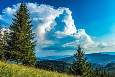 beautiful view from above of the mountains. carpathian mountains. ukraine. beauty world.