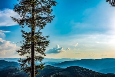 Dağları ve mavi gökyüzü olan güzel bir manzara.