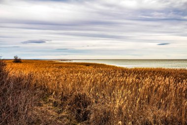 Güzel deniz manzarası ve göl.