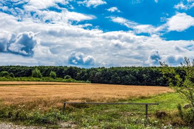 a field of green grass in front of a beautiful cloudy day.