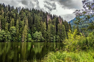 lake in mountains, forest and forest