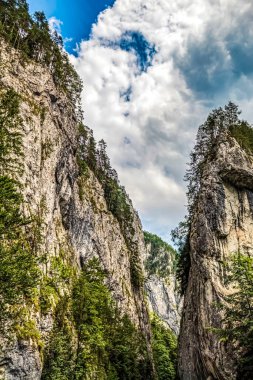 Dağların güzel manzarası