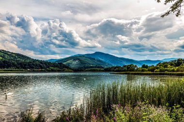a beautiful shot of a lake surrounded by forest and trees under the cloudy sky in the mountains