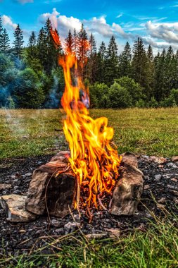 burning firewood in nature