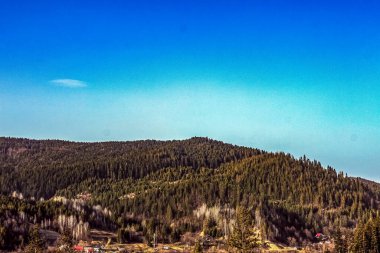 Dağlardaki bir ormanın güzel bir görüntüsü