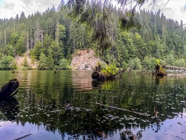 Ormanda güzel dağ gölü