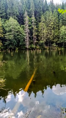 Nehir ve gölü olan güzel bir manzara.