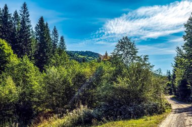 Dağların güzel manzarası