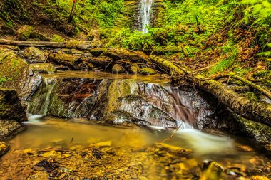 bir dağ orman şelale