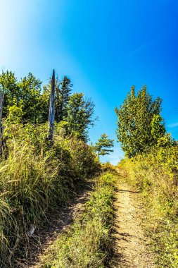 Doğanın güzel manzarası