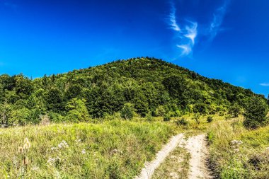 Dağlık ve yollu güzel yaz manzarası