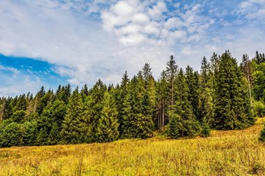 Karpatlar sonbaharda