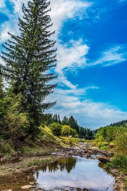Nehir ve ağaçlarla kaplı dağ manzarası
