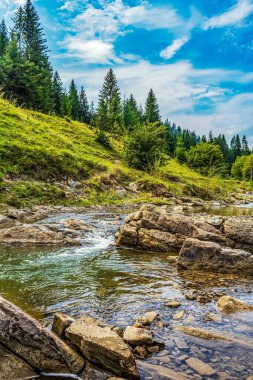 Doğanın arka planında güzel bir şelale
