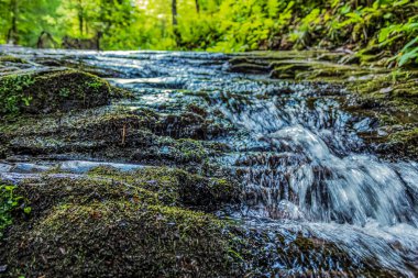 Ormanda güzel bir şelale